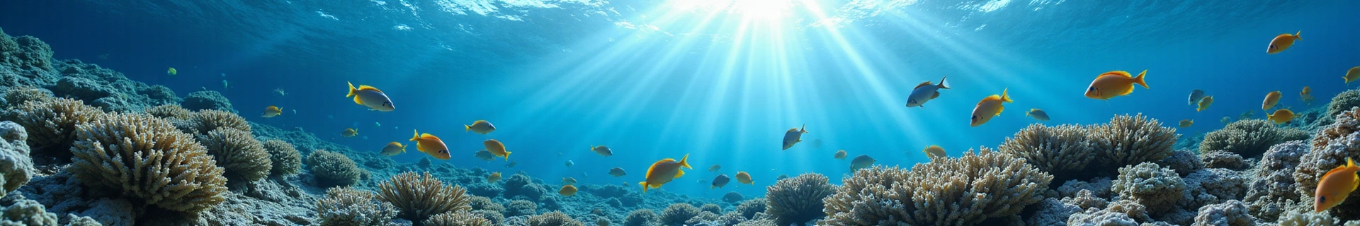 About AquaWorld USA banner showing a serene underwater scene