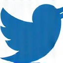 Twitter icon