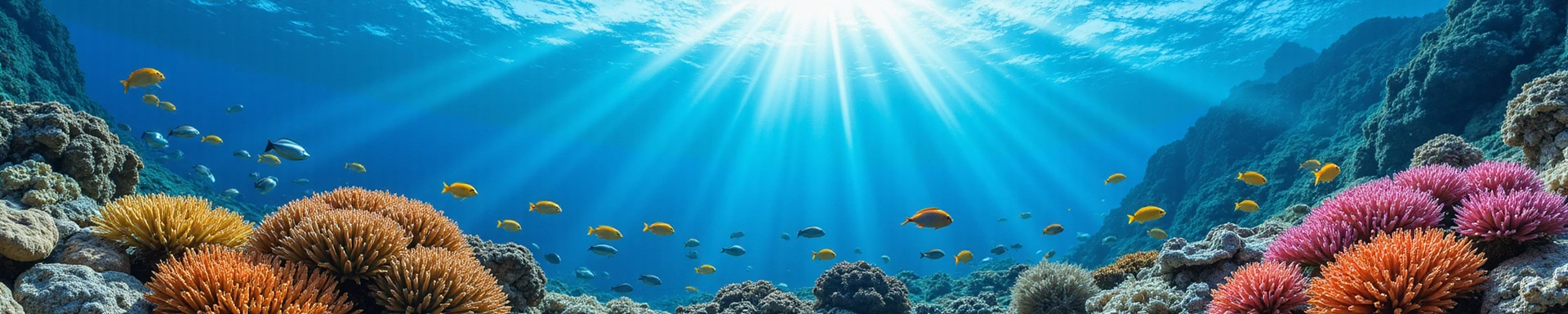 Underwater scene with colorful fish and coral, symbolizing a welcoming aquatic environment.